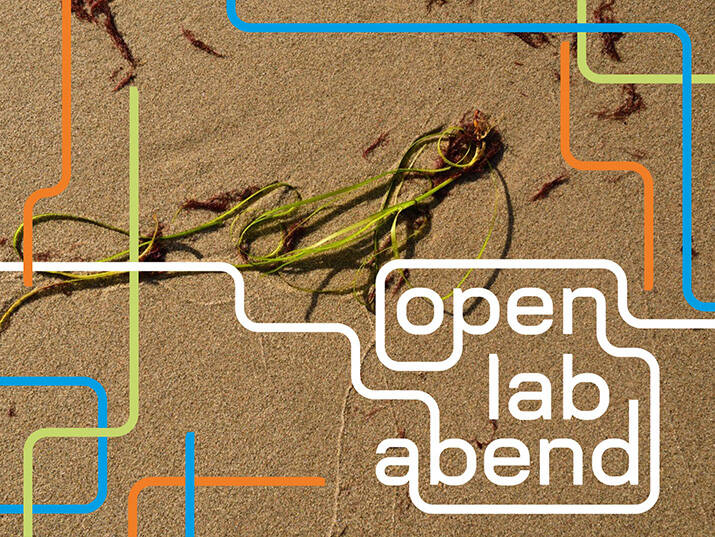 Open Lab Abend: Seegras als vernetztes Material