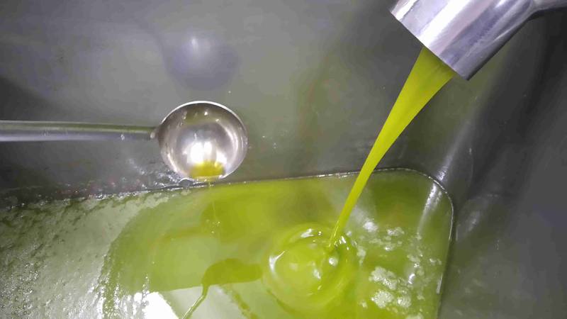 Degustation verschiedener italienischer Olivenöle und Weine aus Umbrien
