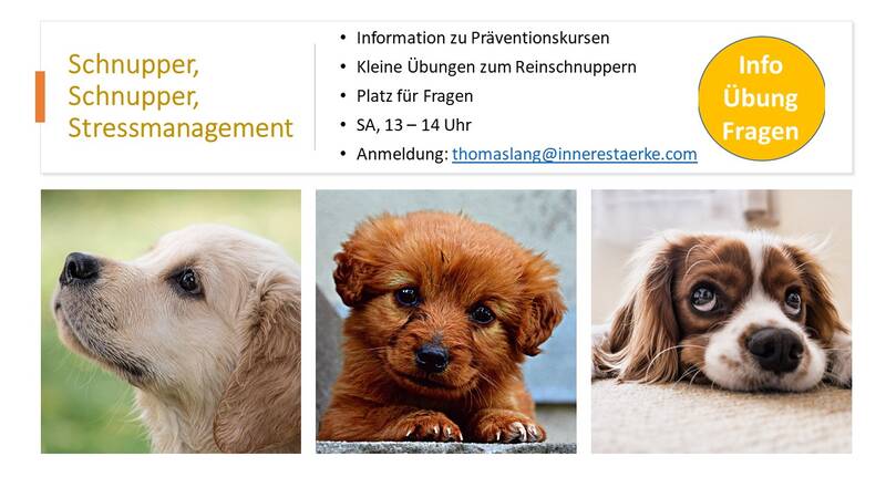Easy Stressmanagement Schnupper Stunde Online