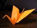 ORIGAMI für Erwachsene in NEUKÖLLN