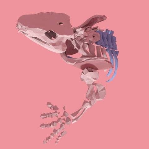 Orobates. Nach 300 Millionen Jahren reanimiert