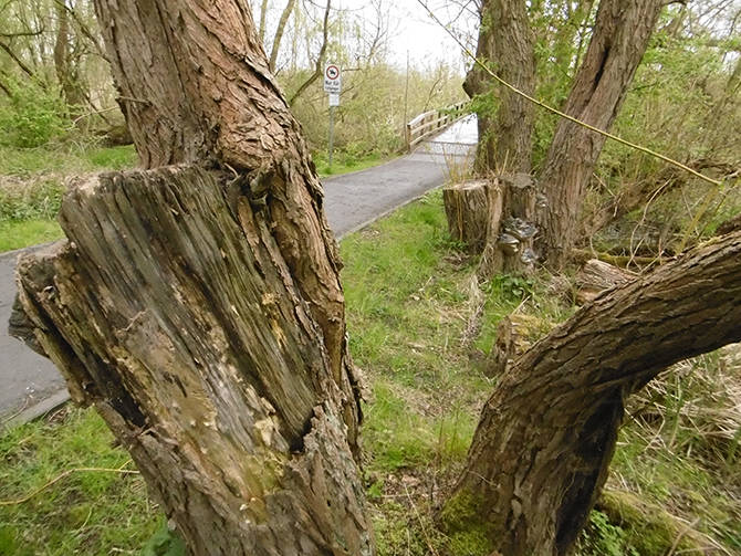 Fahrradtour durch den Berliner Norden