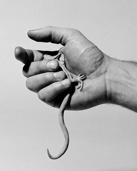 PEP New Talents 2020 / Collective Photography Exhibition
