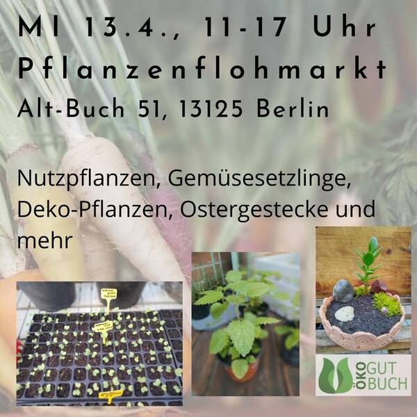 Pflanzenflohmarkt auf dem Ökogut