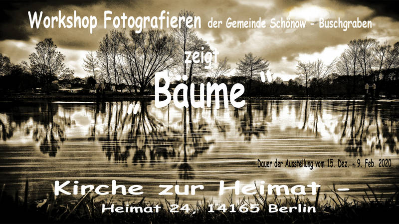 Fotoausstellung "Bäume"
