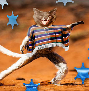 Adorable Creatures - The Poncho Catmur - English Comedy Open Mic