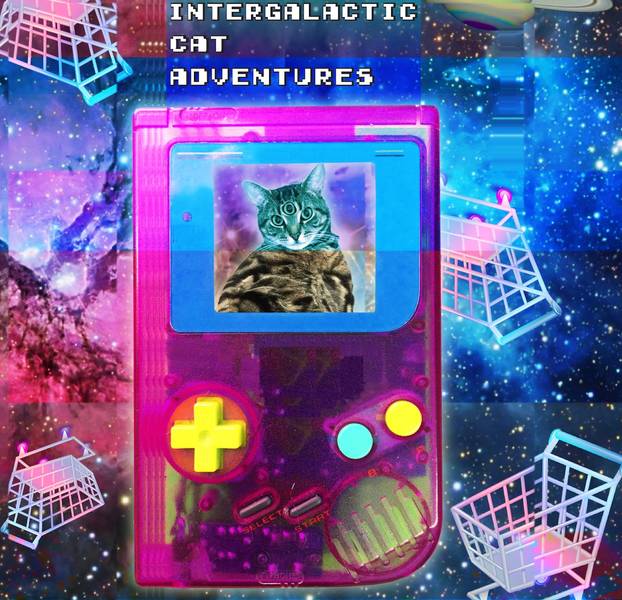 INTERGALACTIC CAT ADVENTURES