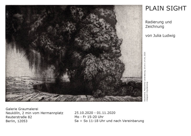Plain Sight - Radierungen und Zeichnungen von Julia Ludwig