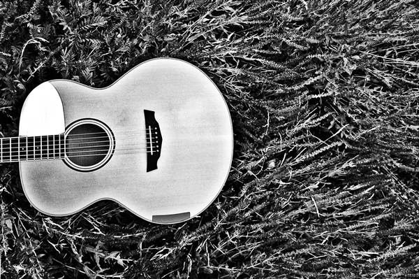 [LIVE] Pan Chimzee (Percussive Guitar) & Jorge (Songwriter)