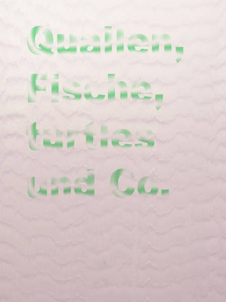 QUALLEN, FISCHE, TURTLES UND CO. (UAMO/FORTRESS)