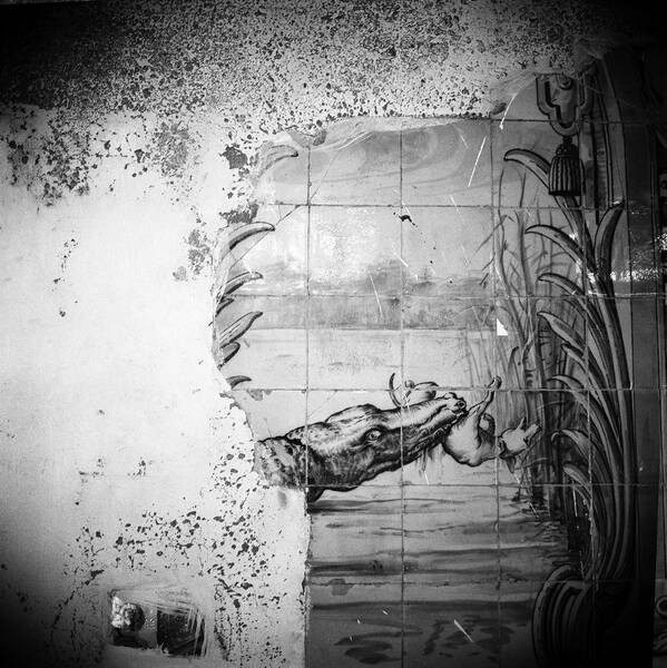 The Struggle of Memory - Sammlung Deutsche Bank / Part 2 (Mi - Mo)