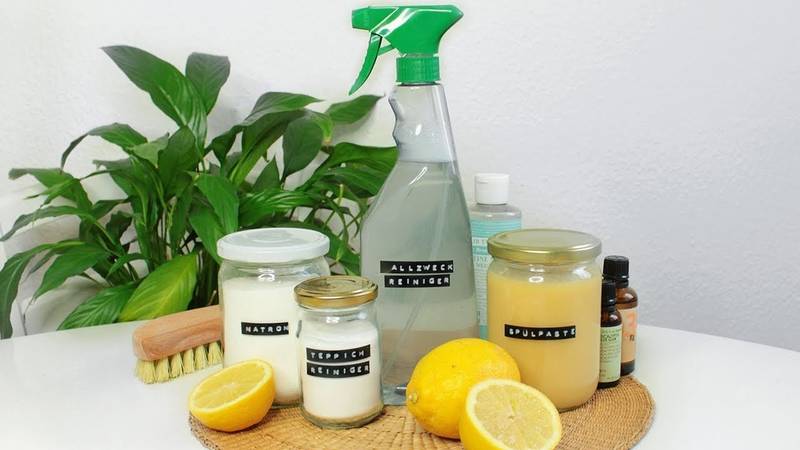 Workshop: Die Saubermacher - Biologische Reiniger selber herstellen