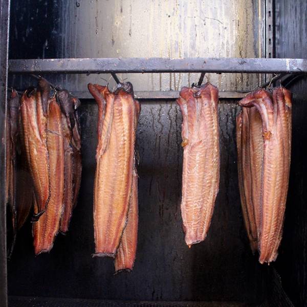 Frischer Fisch & ein Besuch in der Stadtfarm