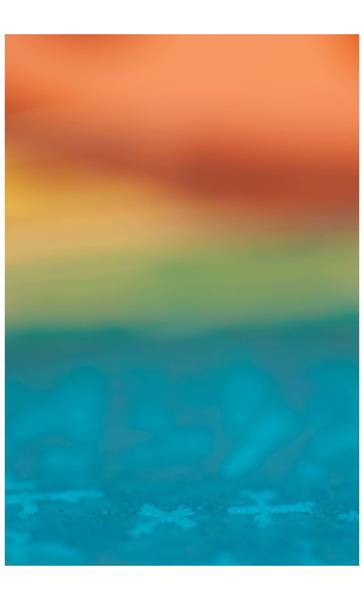 ACCIDENTAL HOST: FOTOAUSSTELLUNG