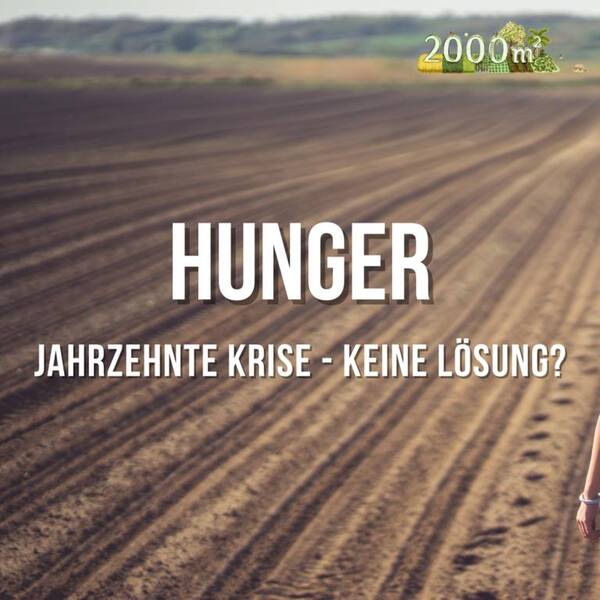 Hunger-Jahrzehnte Krise, keine Lösung?