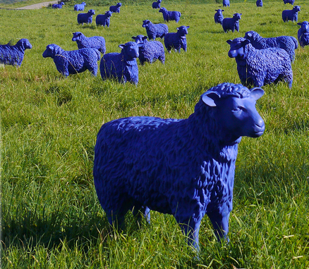 Die Blaue Friedensherde kommt! 30 blaue Schafe