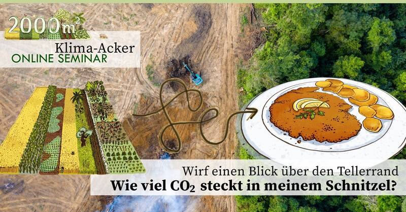 Online-Seminar: Was hat das Schnitzel mit dem Regenwald zu tun?