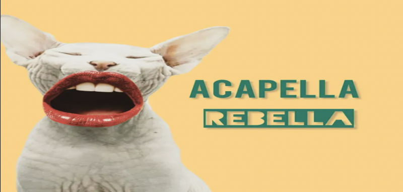 Acapella Rebella - No Active Right Now