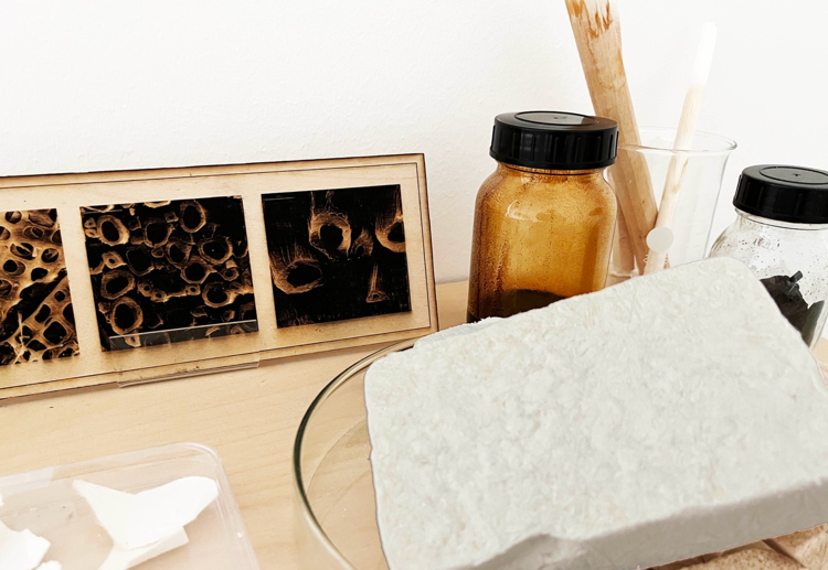 "Cellulose: Von Nano bis Makro - ein ungewohnter Blick auf Fasern und Material"  Ein Workshop aus Vortrag und greifbarer Ausstellung