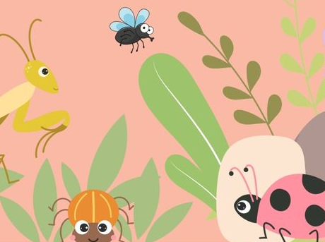 Flügel, Fühler, Wiesenwunder – vom Krabbelkino zur Bastelwerkstatt