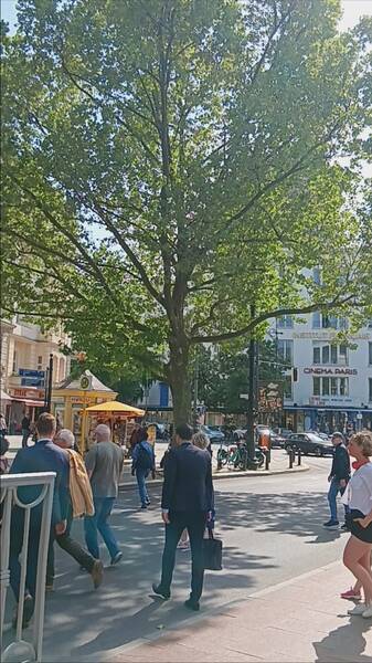 Learn German in Kurfürstendamm, Berlin. Free for Ukrainian refugees.