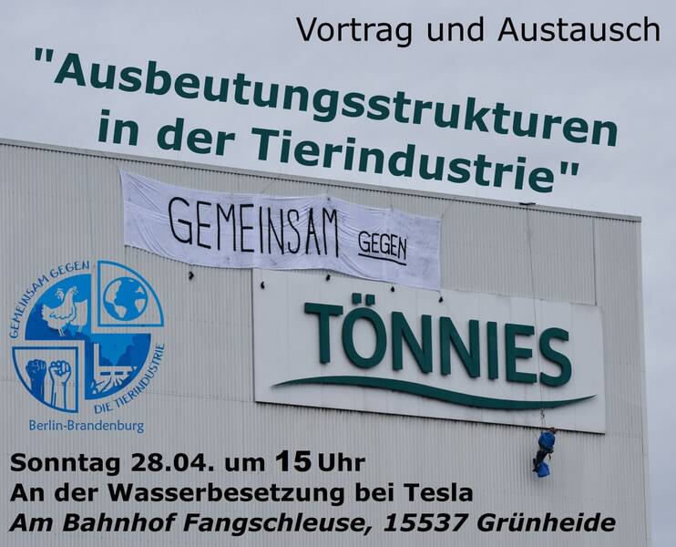 "Ausbeutungsstrukturen in der Tierindustrie" - Vortrag & Austausch