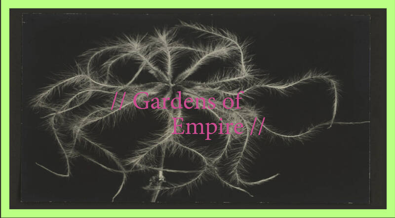 "Gardens of Empire". Über die Politik des Sammelns von Natur (digital)