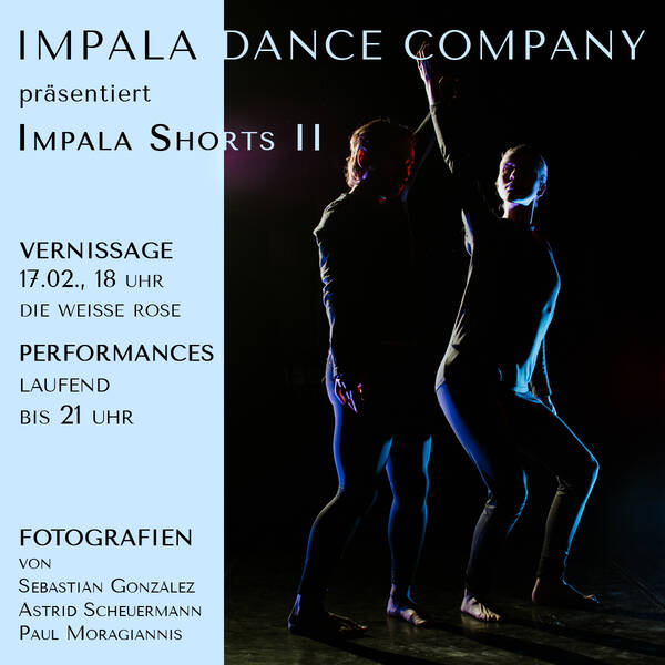 Impala Shorts - Fotoausstellung und Tanzperformance