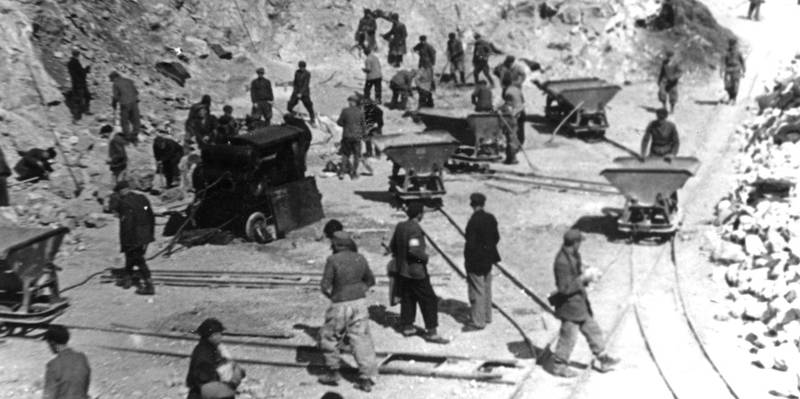 Holocaust und Zwangsarbeit in Galizien. Die Vernichtung einer multikulturellen Gesellschaft 