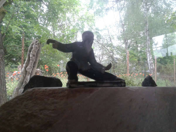 Sommer Tai Chi