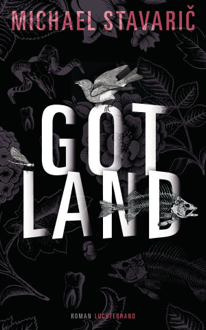 Michael Stavarič. Gotland