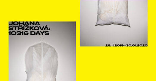 Johana Střížková: 10316 Days (VERNISSAGE)