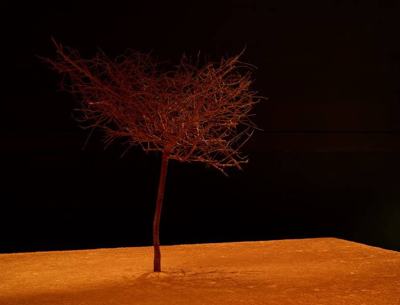 Eröffnung Fotoausstellung - Szenerie und Naturobjekt // Alexander Grennigloh, Jan Stradtmann, Shigeru Takato & Ann Katrin Warter