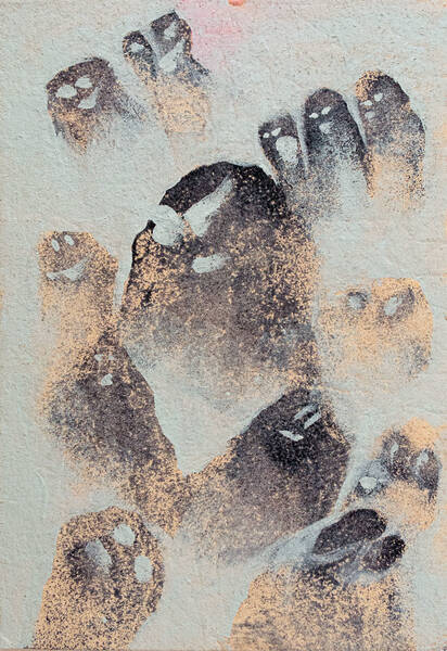 Schattenland - Teresa Supico