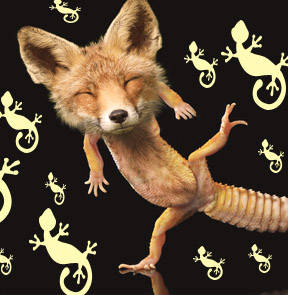 Adorable Creatures - The Geckox - English Comedy Open Mic