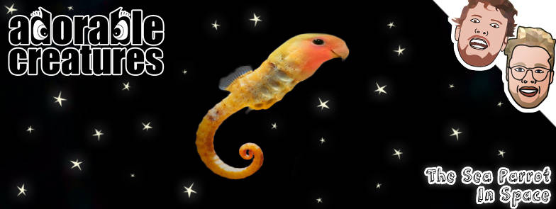 Adorable Creatures - The Sea Parrot in Space - English Comedy Open Mic