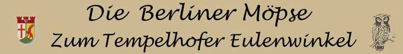 5. Internationales MOPSTREFFEN Berlin mit Mopsrennen