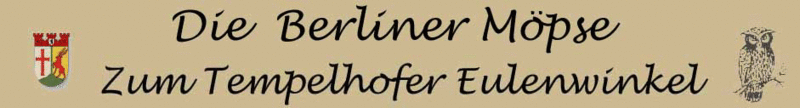 4. Internationales MOPSTREFFEN Berlin mit Mopsrennen