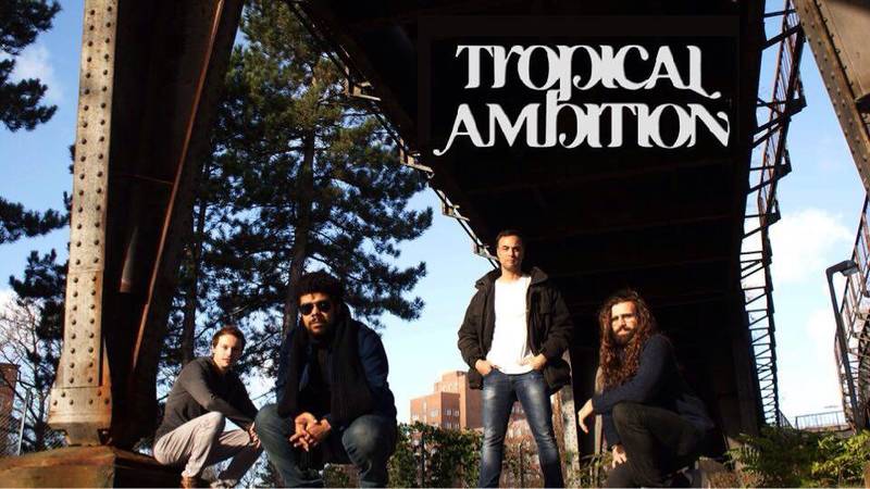 Tropical Ambition Acoustic Live