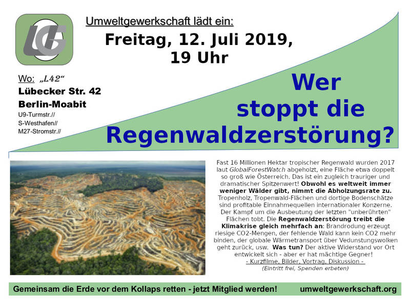Regenwaldzerstörung