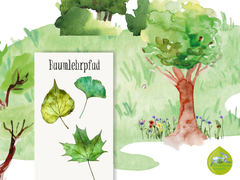 Nature Journaling: Bäume im Sommer