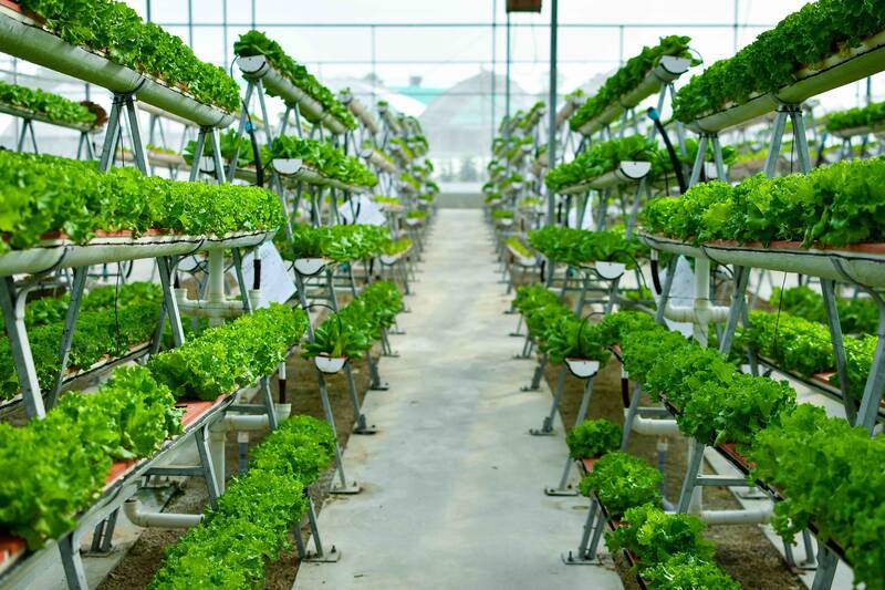 Digitales Politikpanel Zukunft der Ernährung - Visionen für 2050