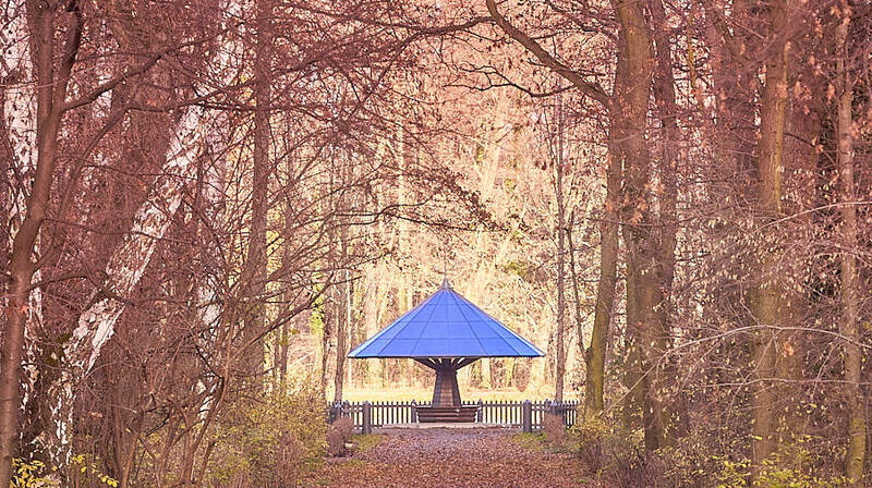 Kurze Eröffnungsbegehung für neue Führung "Volkspark Jungfernheide & Erwin Barth"