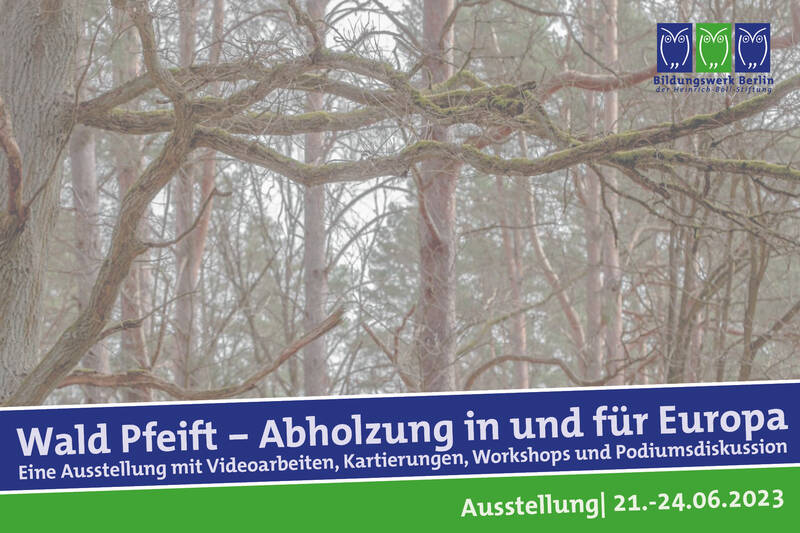 Wald Pfeift – Abholzung in und für Europa