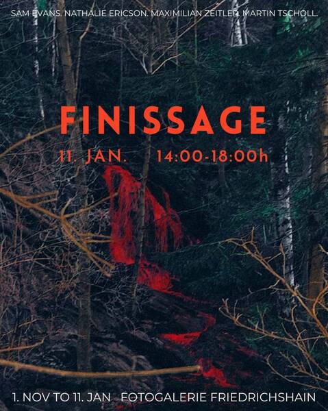 Fotogalerie Friedrichshain -  Im Sog des Waldes - Finissage 11.01.2025 (Di-Sa)