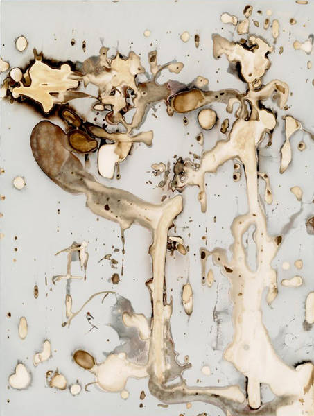 Vernissage der Fotoausstellung von Elena Ternovaja "Die Alchemie der Gedanken" 