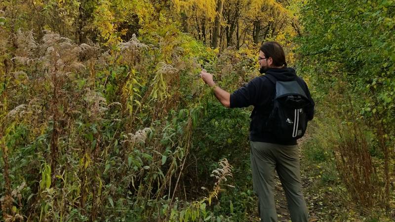 Frühsommerliche Wildkräuterwanderung im schönen Volkspark Prenzlauer Berg