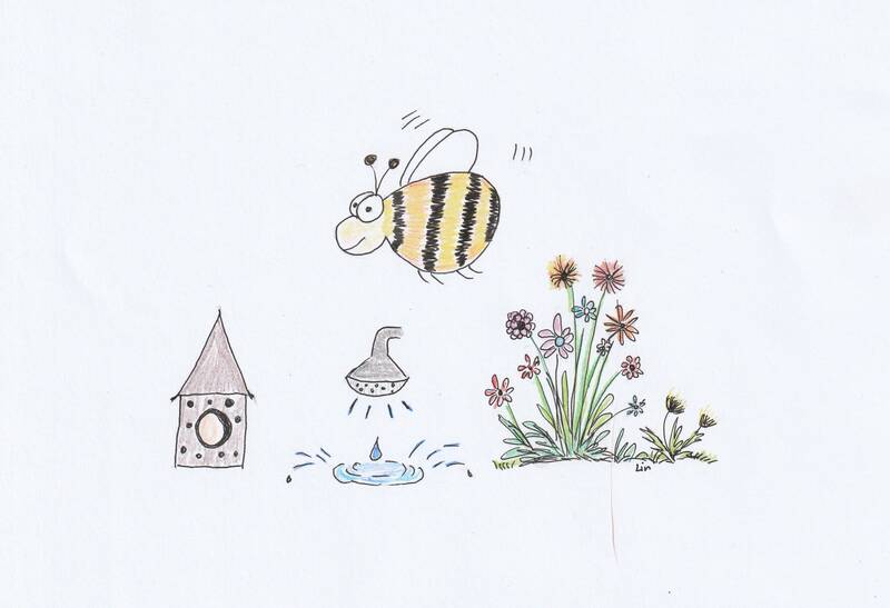 Wildbienen-Workshop