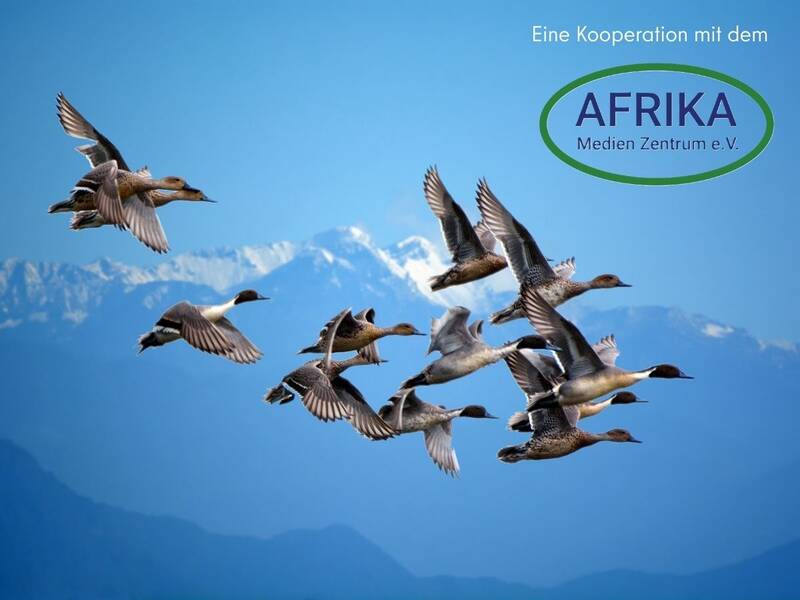 Zugvögeln auf der Spur – Offener Workshop des Afrika Medien Zentrum e.V.