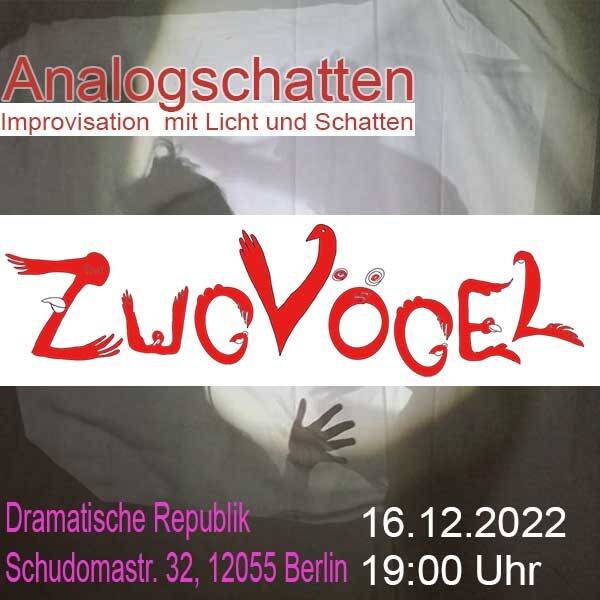 Zugvögel Ensemble präsentiert Analogschatten
